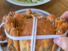 -品鲜村农家菜·阳澄湖大闸蟹(总店)