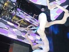 -HiIbiza酒吧