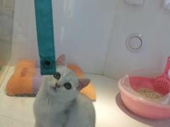 -龟与熊猫宠物公园(南坪店)
