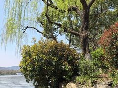 -西湖外事游船(花港观鱼码头)