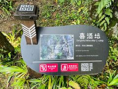 -梭布垭石林景区