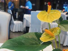 -眉州东坡(华联万柳店)