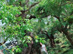 -Chom Cafe and Restaurant