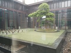 -上海崇明金茂凯悦酒店