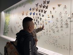 -香港科学馆