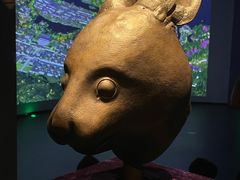 -广西壮族自治区博物馆