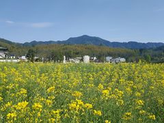 -塔川景区