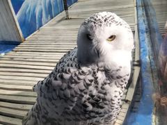 -成都浩海立方海洋公园