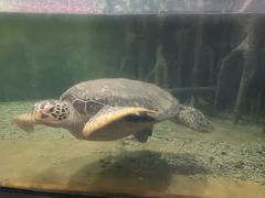 -苏州海洋馆