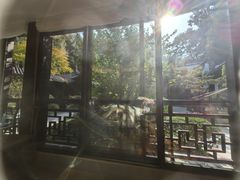 -十八棵（老龙井）御茶园(老龙井店)