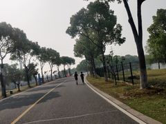 -漕湖湿地公园