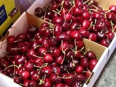 -江杨农产品批发市场