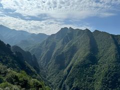 -武陵山森林公园