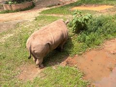 -深圳野生动物园