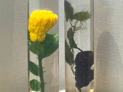 -广东中医药博物馆