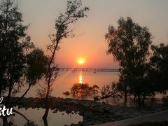 -宝安西湾红树林湿地公园