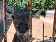 -武清南湖绿博园