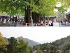 -潭柘寺景区