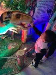 点击看大图 -恐龙探索乐园(磁器口店)