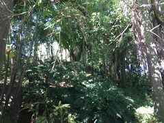 -佛山祈福仙湖酒店