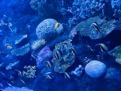 -左海海底世界