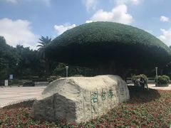 -南宁南湖公园