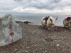 -青海湖国家重点风景名胜区