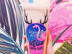 凤梨茉莉绿茶-Flamingo Bloom(TST /尖沙咀店)