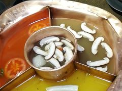 包浆豆腐-老诚一锅羊蝎子(黄寺大街店)