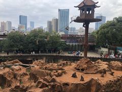 -昆明动物园