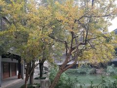-龙潭水乡