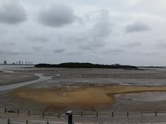 -琴岛之星摩天轮