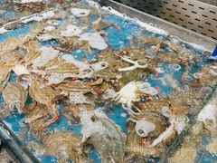 -半岛听涛蒸汽海鲜自助(K11店)