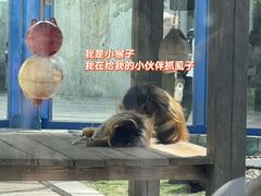 -大连森林动物园