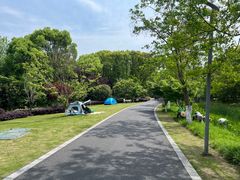 -昆山城市生态森林公园