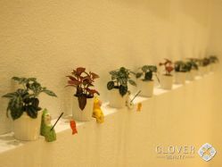 点击看大图 -Clover Beauty四葉美睫