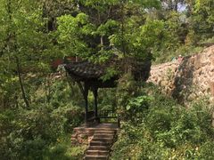 -凤栖山