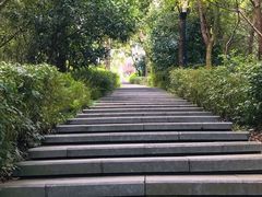 -宝界山林公园