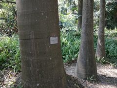 -九龙公园