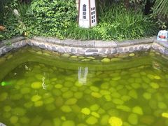 -杭州第一世界大酒店·云曼温泉
