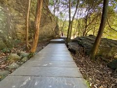 -石台牯牛降景区