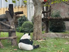 -成都动物园