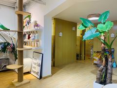 -Double Rui宠物酒店