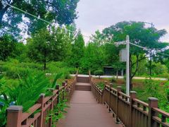 -宾湖农庄·农场特色(太湖龙之梦店)