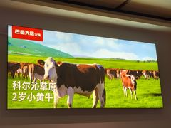 -巴蜀大将火锅(春熙店)