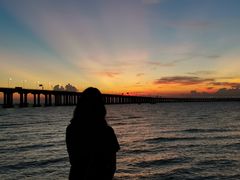 -宝安西湾红树林湿地公园