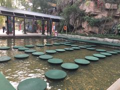 -杭州宋城