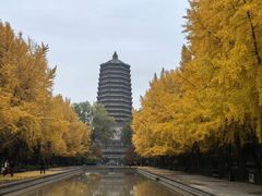 -玲珑塔公园