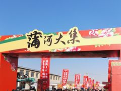 -蒲河大集