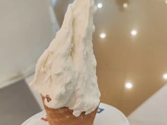 -野人先生Gelato(上海长宁龙之梦店)